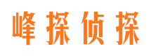 额济纳旗捉小三公司